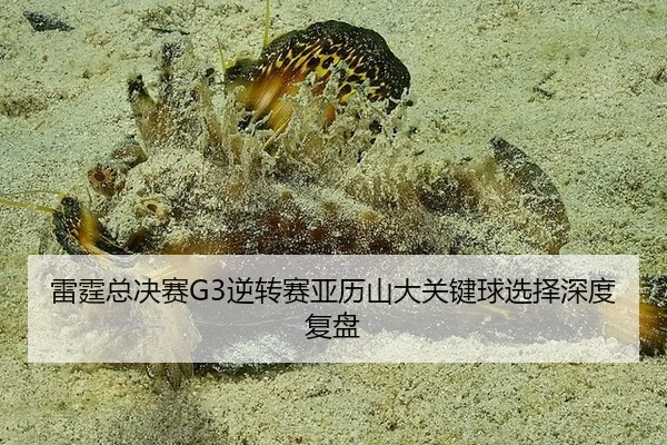 雷霆总决赛G3逆转赛亚历山大关键球选择深度复盘