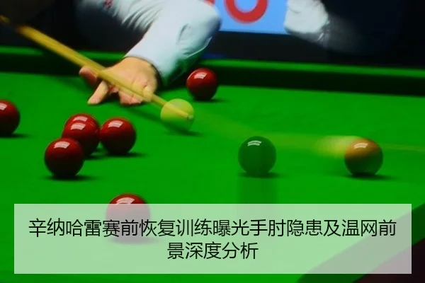 辛纳哈雷赛前恢复训练曝光手肘隐患及温网前景深度分析